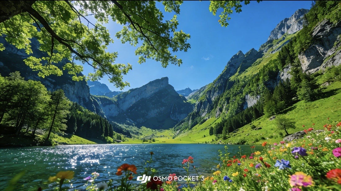 DJI Pocket 4 Pro LUT workflow sample with lake and mountain greens
