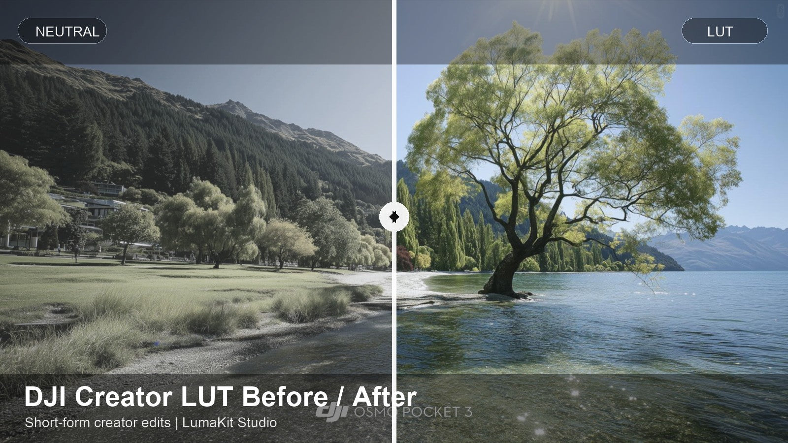 DJI Starter LUT works in CapCut Premiere Pro Final Cut Pro and DaVinci Resolve