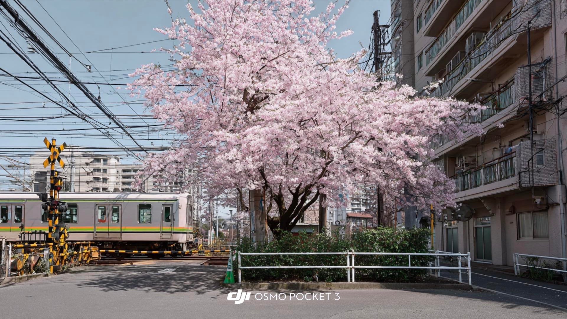 DJI Creator LUT sample 9